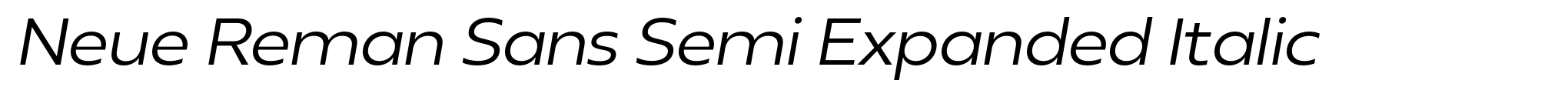 Neue Reman Sans Semi Expanded Italic image